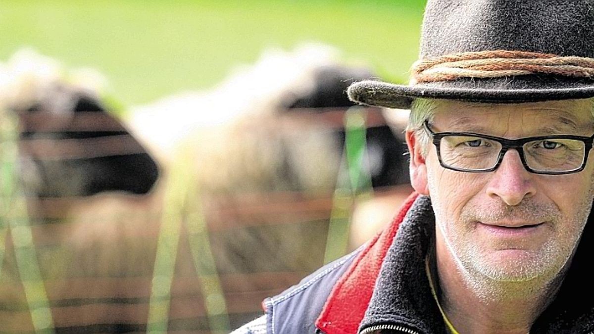 9246743_1478323349_v16_9_1200